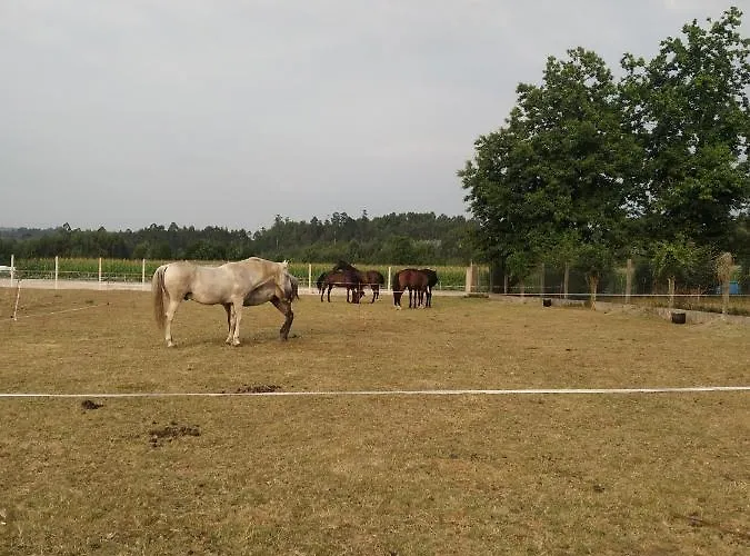 O Fervello אכסניה לבאקוייה